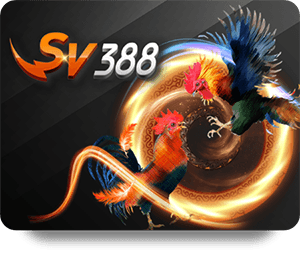 Oxbet Khuyến Mãi Lớn Có Điều Kiện Đăng Ký Như Thế Nào?